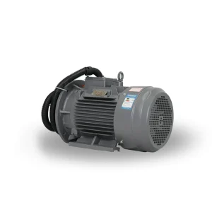High-efficiency IE3/IE4 Energy-saving (permanent magnet) Customized Motor